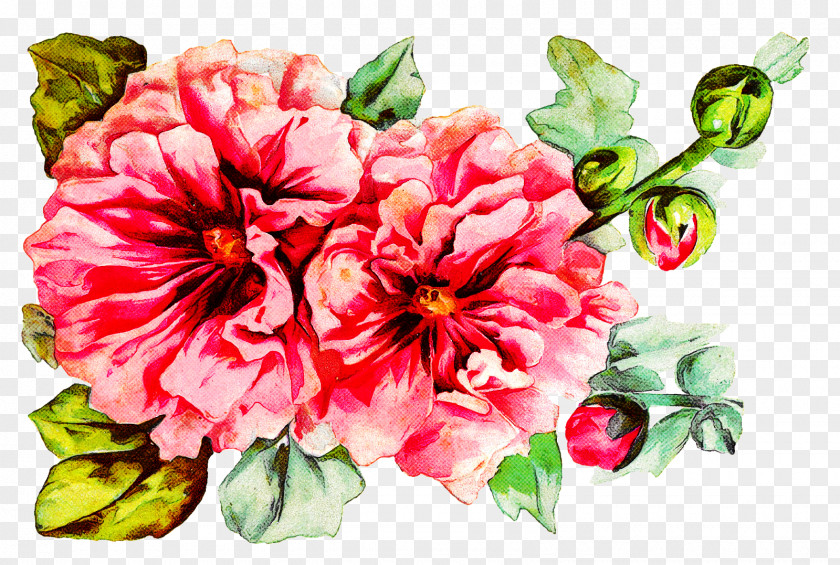 Floral Design PNG