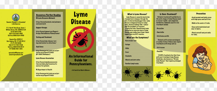Pamphlet Lyme Disease Brochure Anxiety PNG