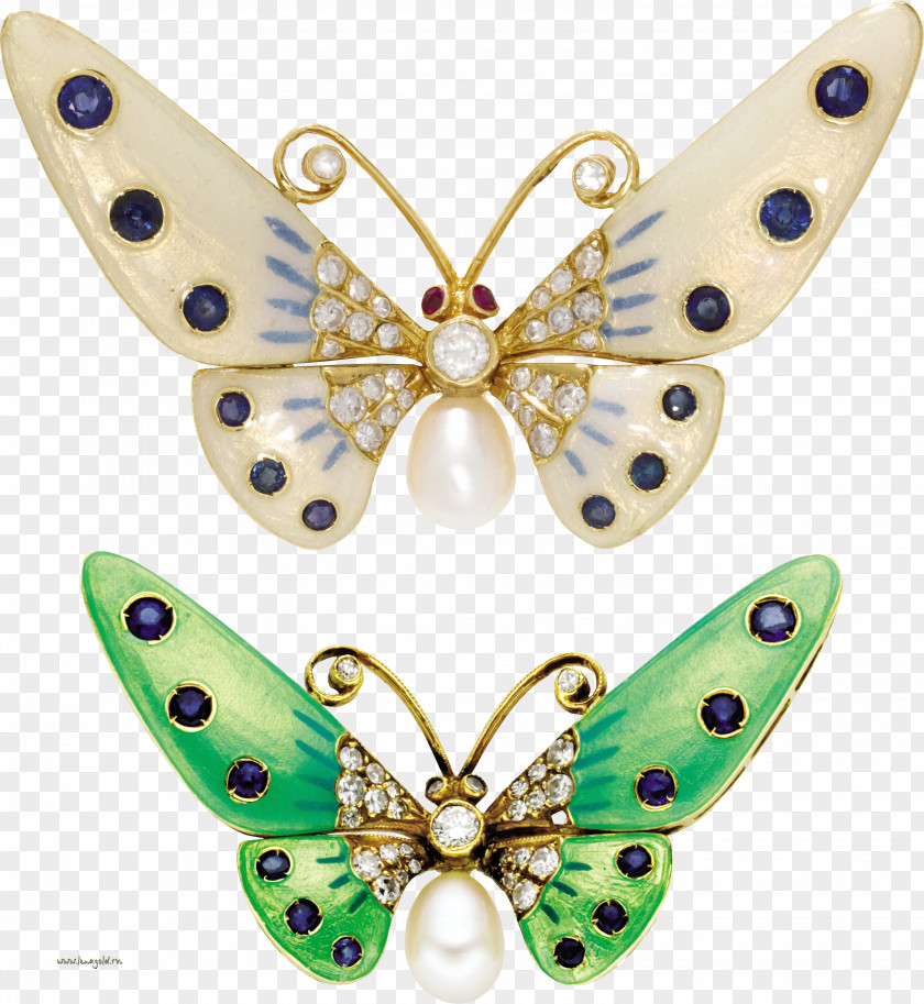 Papilio Palamedes Brooch Butterflies And Moths IFolder Clip Art PNG