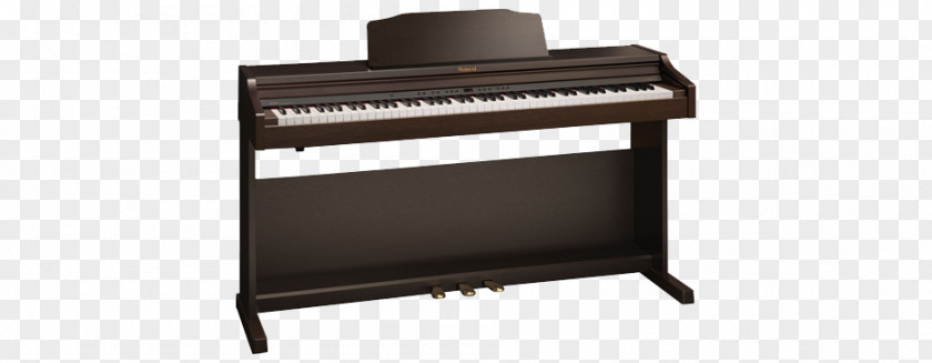 Piano Digital Roland RP501R Corporation RP-401R PNG
