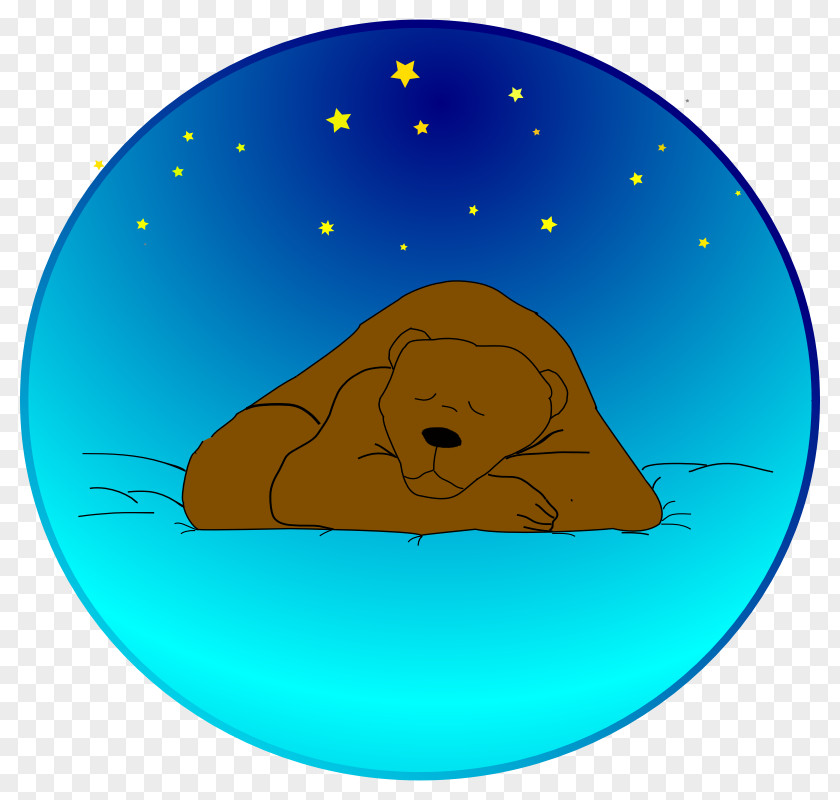 Picture Of The Stars Sleeping Bear Dunes National Lakeshore Koala Brown Polar PNG