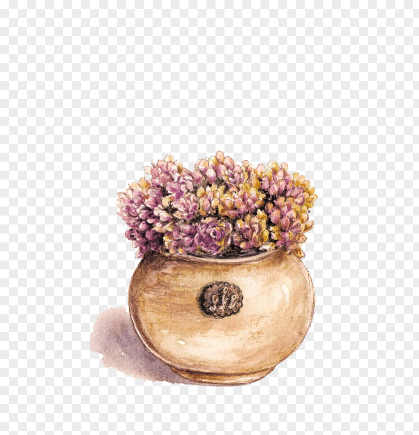 Purple Fleshy Succulent Plant Flowerpot PNG