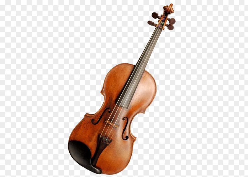 Violin String Instruments Fiddle Musical PNG