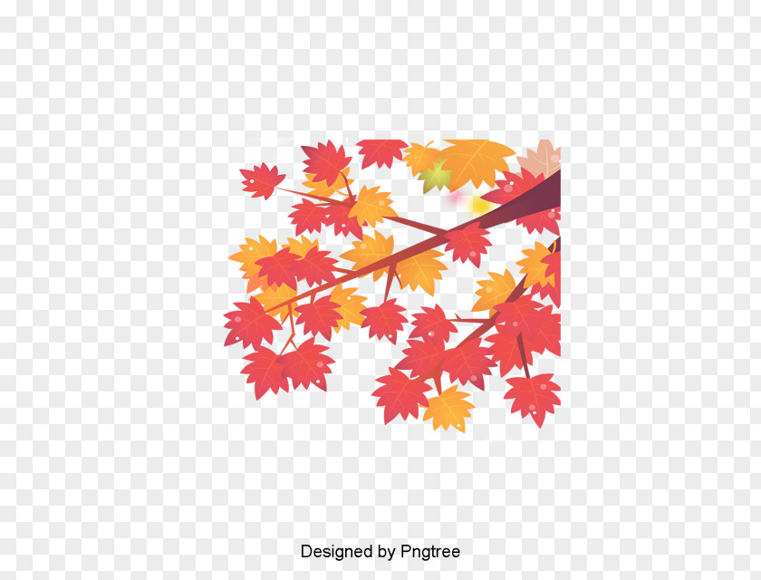 Autumn Design Image Maple Leaf PNG