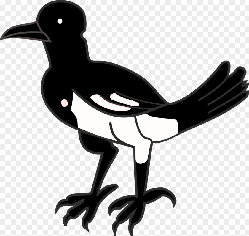 Bird Beak Eurasian Magpie Flightless Clip Art PNG