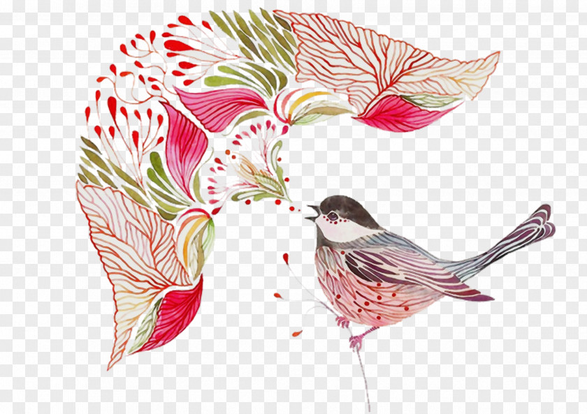 Drawing Perching Bird Hummingbird PNG