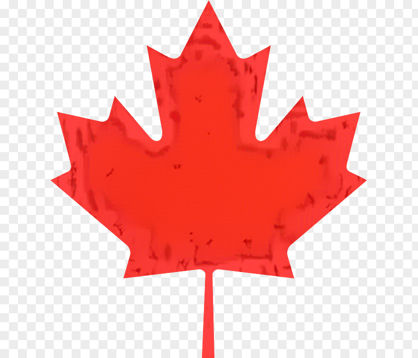 Maple Leaf Flag Of Canada Stock Photography PNG