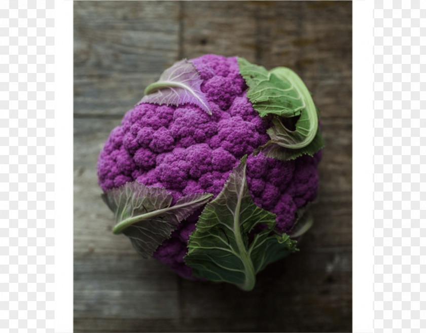 Cauliflower Cut Flowers Floral Design Lilac Lavender PNG