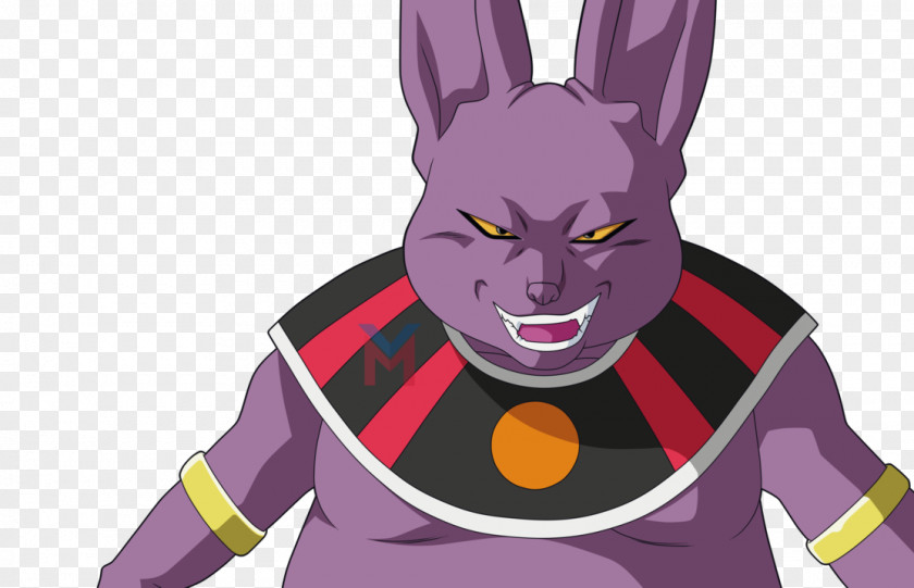 Champa Goku Beerus Dragon Ball 15 PNG