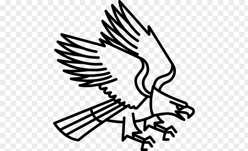 Eagle Tattoo PNG