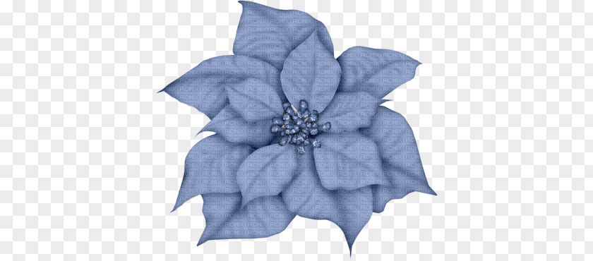 Flower Poinsettia Christmas Joulukukka Clip Art PNG