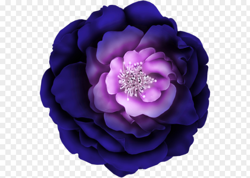 Flower Purple Clip Art PNG