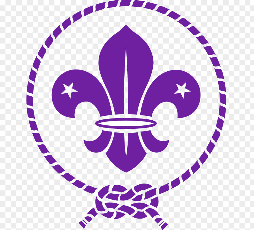 Invert Scouting For Boys World Scout Emblem Organization Of The Movement Boy Scouts America PNG
