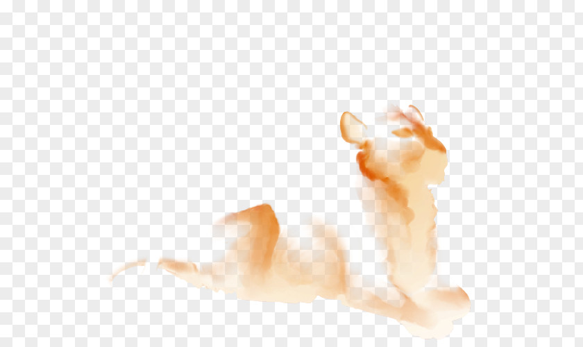 Lion Cricut Whiskers Kitten Cat Paw Desktop Wallpaper PNG