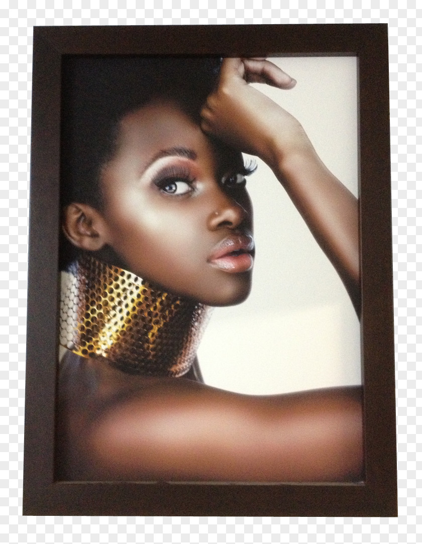Fiat Dark Skin Black Is Beautiful Female African American PNG
