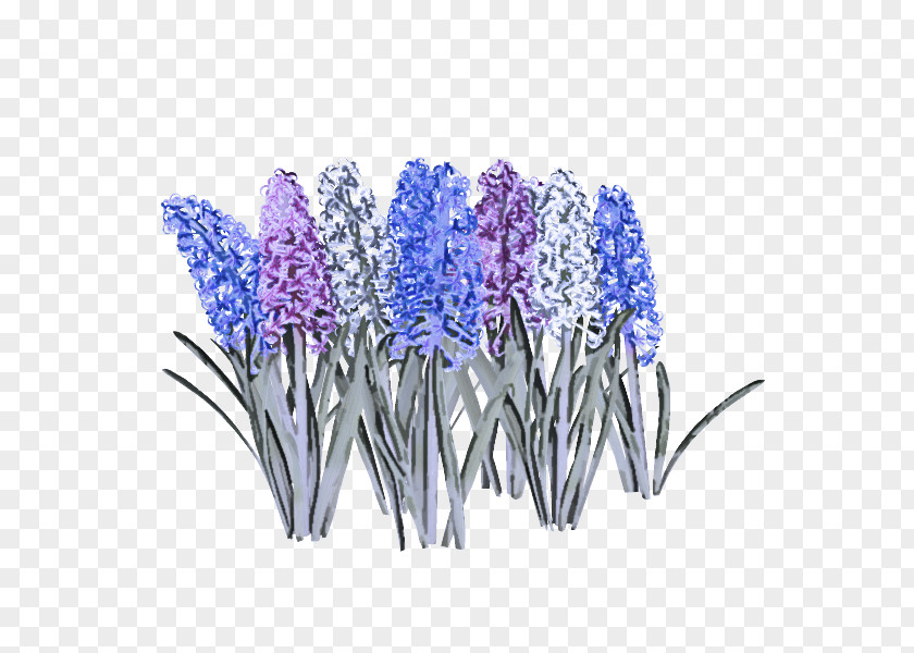 Lavender PNG