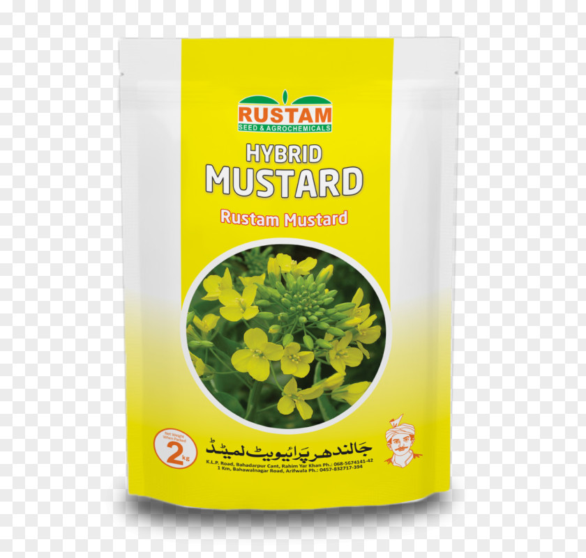 Mustard Oil Jalandhar Plant Leaf Vegetable Seed PNG
