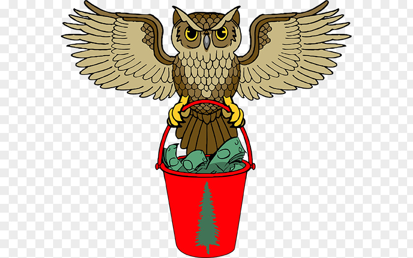 Owl Illustration Clip Art Product Beak PNG