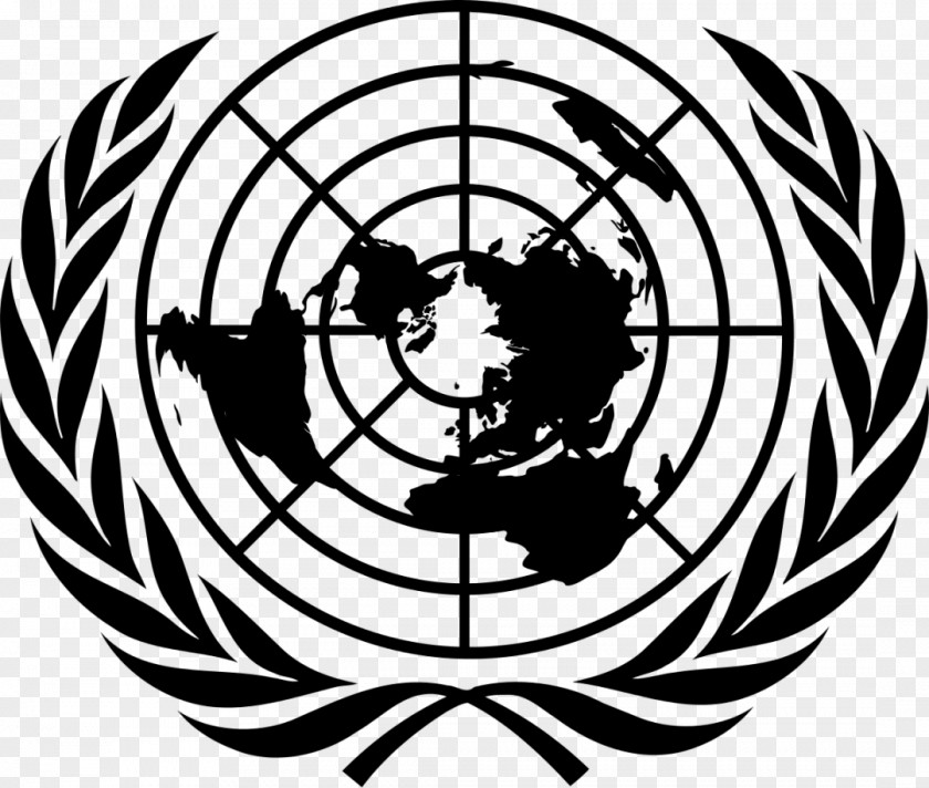 Universal Declaration Of Human Rights Flag The United Nations Organization Logo General Assembly PNG