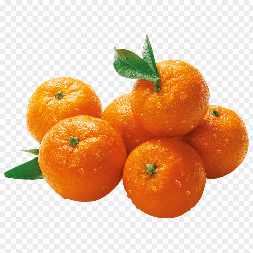 Clementine Mandarin Orange REWE Bio Broccoli Tangerine PNG
