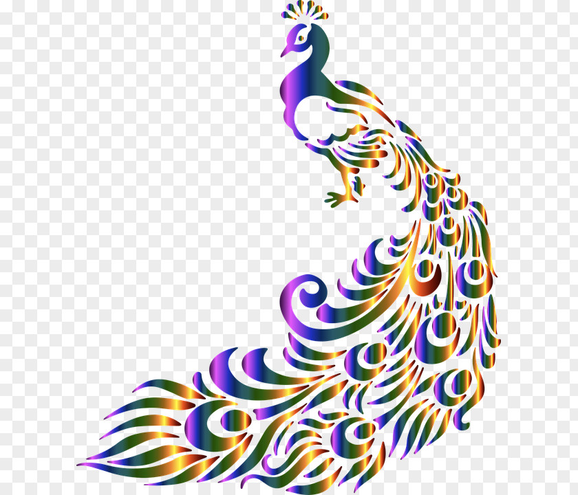 God Bird Peacock Asiatic Peafowl Black And White Feather Clip Art PNG