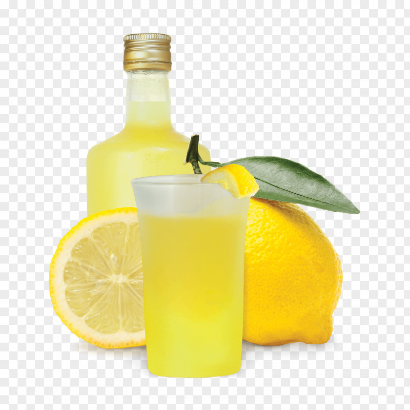 Limon Limoncello Juice Lemon Liqueur Italian Cuisine Fumari, Inc. PNG