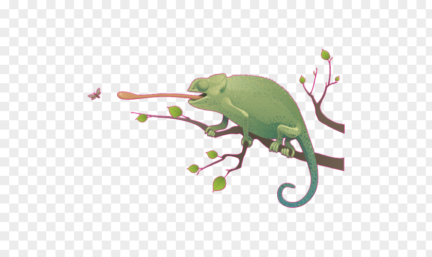 Lizard Reptile Vector Graphics Illustration Carpet Chameleon PNG