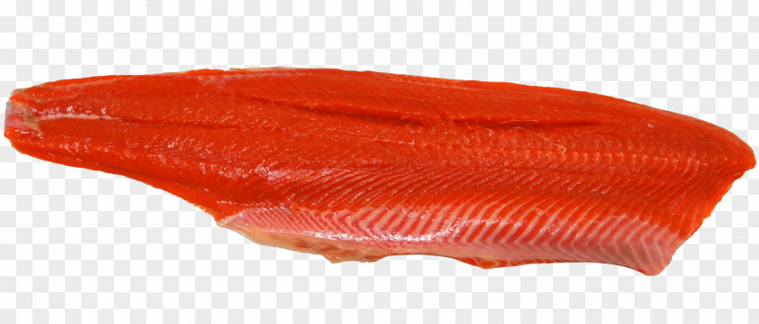 SALMON Salmon As Food Fish Atlantic Fillet PNG