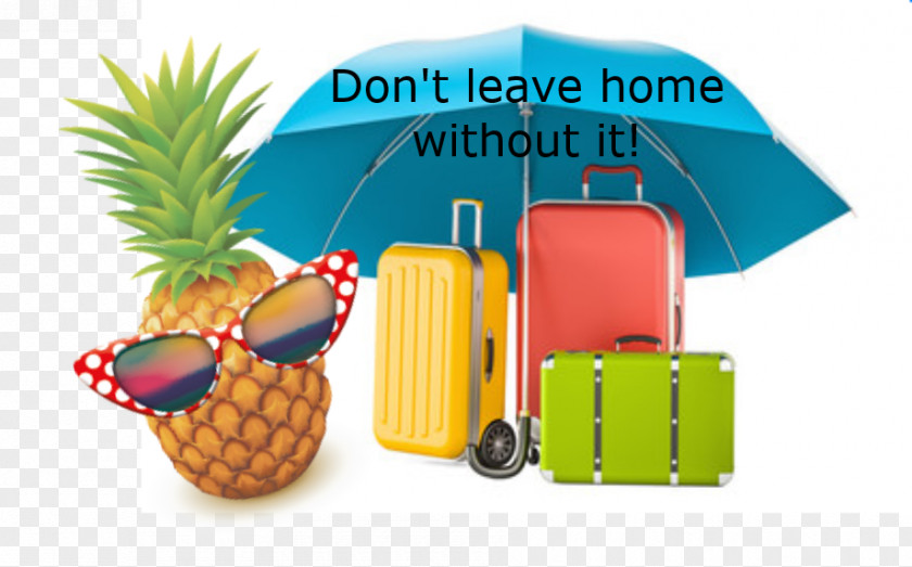 Tempt Frame Travel Insurance Suitcase Baggage PNG