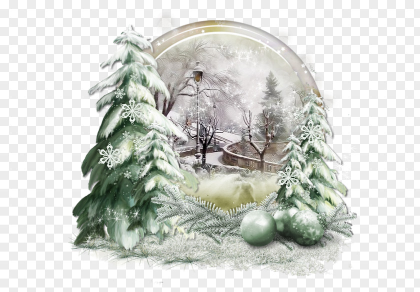 Christmas Tree Ornament Day Spruce PNG
