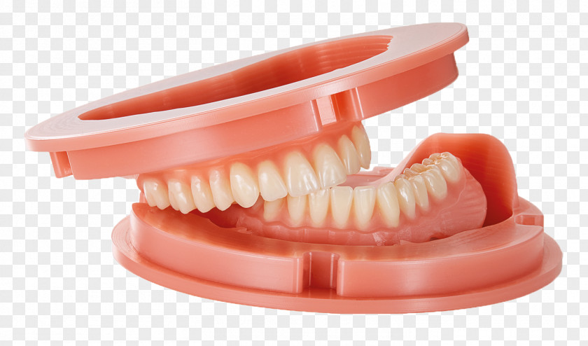 Dental Laboratory Tooth Dentures Dentistry PNG