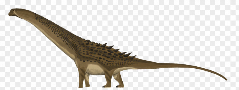 Dinosaur Alamosaurus Gryposaurus Hadrosaurus Teratophoneus PNG