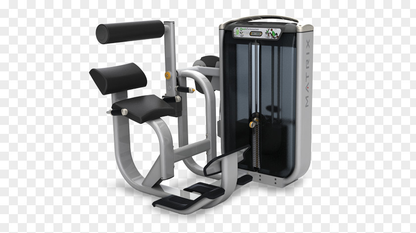Exercise Equipment Hyperextension Strength Training Machine Physical Fitness PNG