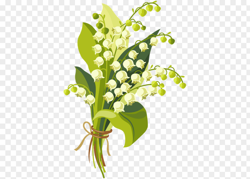 Lily Of The Valley Royalty-free Drawing PNG
