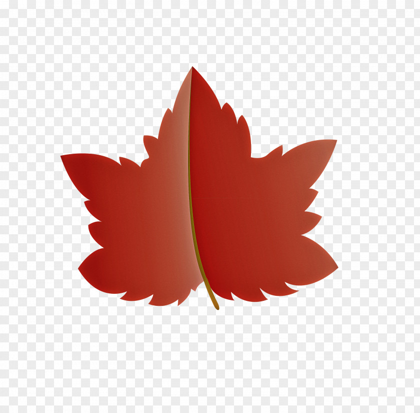 Maple Leaf PNG