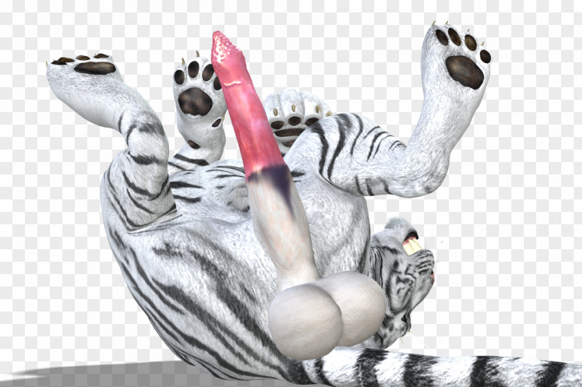 Tiger White Directory Mammal PNG