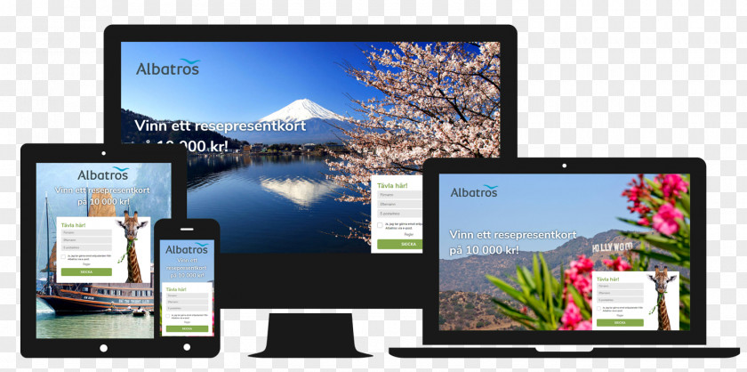 Travelbird Computer Monitors Multimedia Digital Marketing Brand PNG