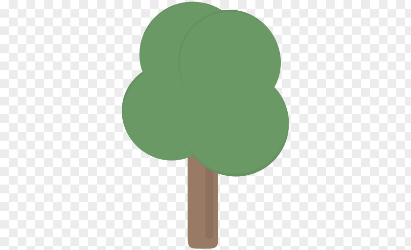 Tree Forest Ecology Botany Nature PNG