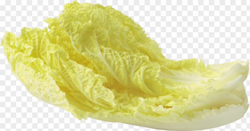 Vegetable Leaf Salad Lettuce PNG