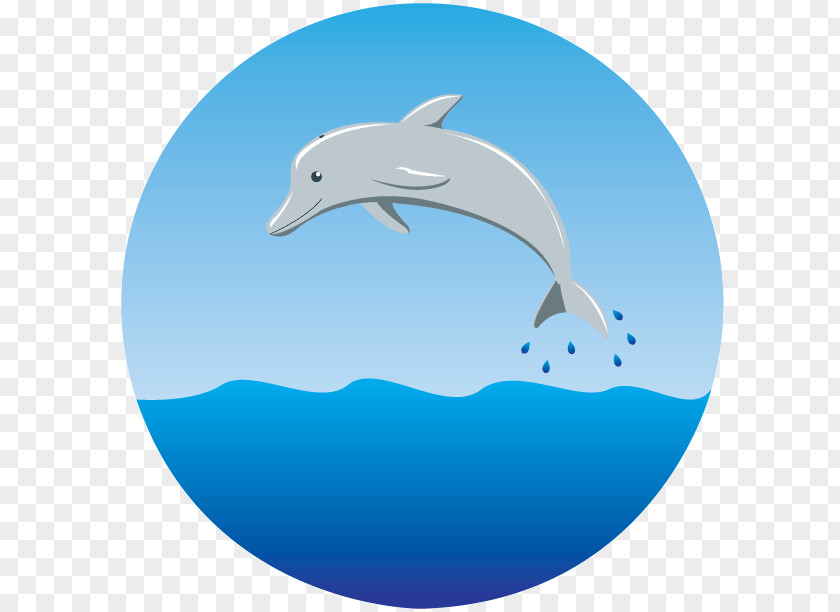 Child Common Bottlenose Dolphin Early Childhood Education Psychoeducation PNG