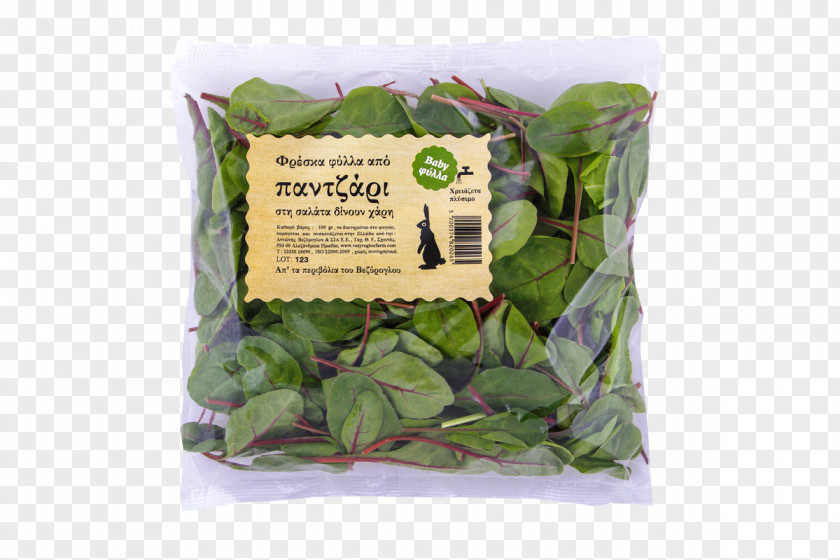 Farm Fresh Veziroglou, A., & SIA E.E. Leaf Vegetable Herb Spinach PNG