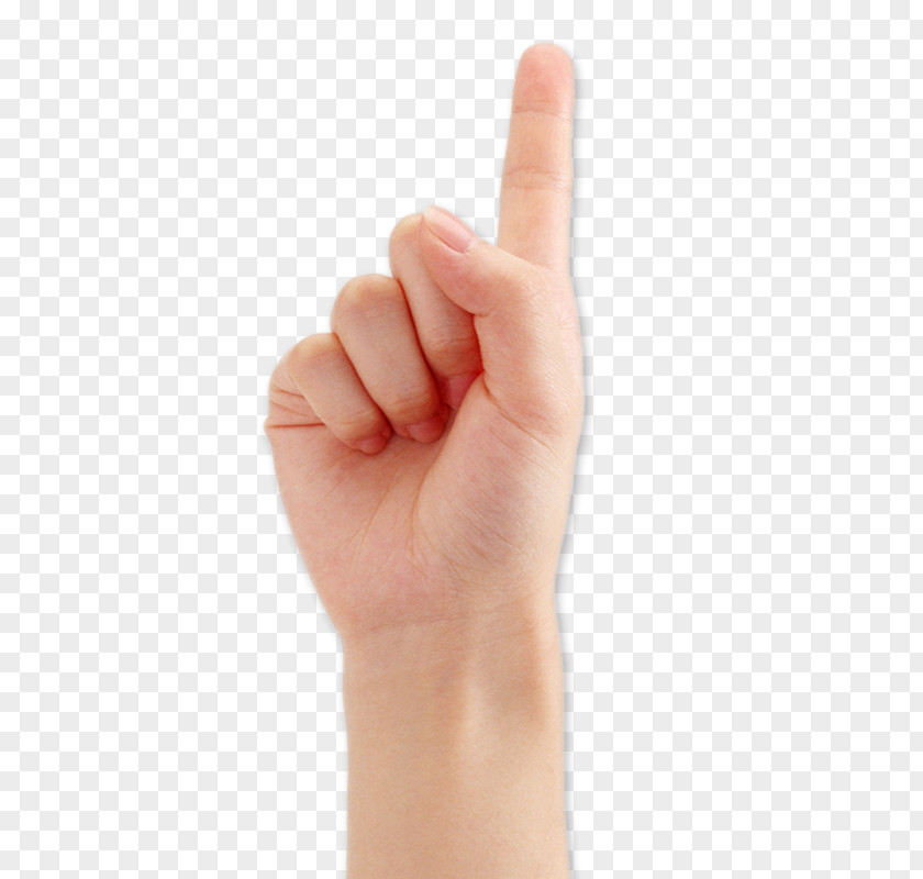 Female Fingers Pointing Upwards Thumb Hand Index Finger Digit PNG