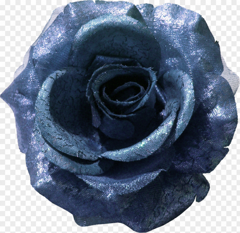 Flower Blue Rose Garden Roses Clip Art PNG