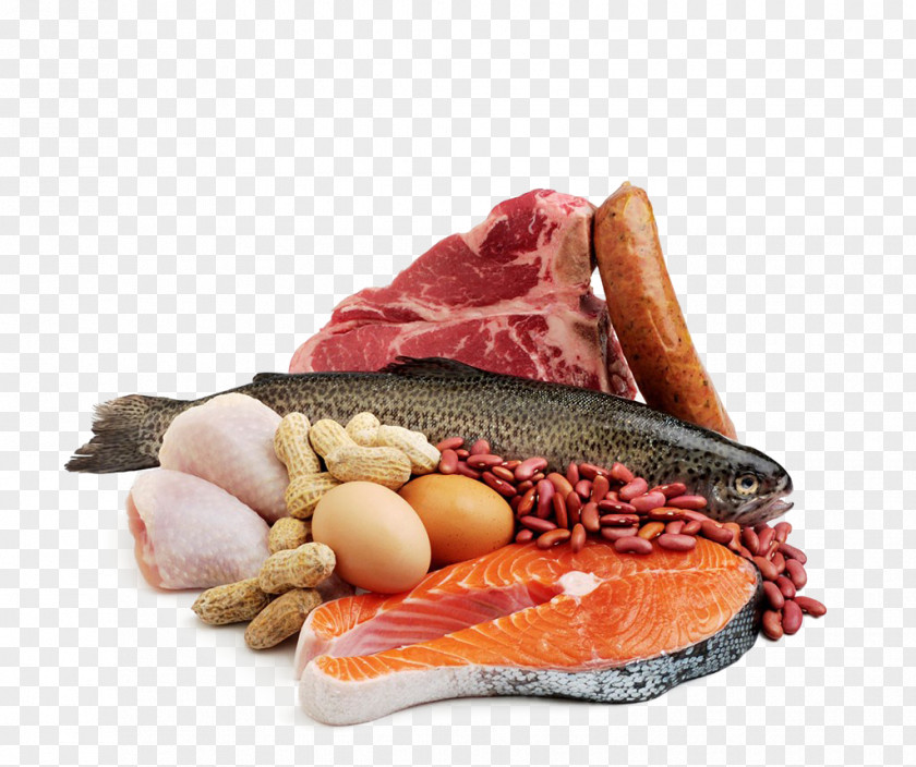 Meat Seafood Fish Protein PNG