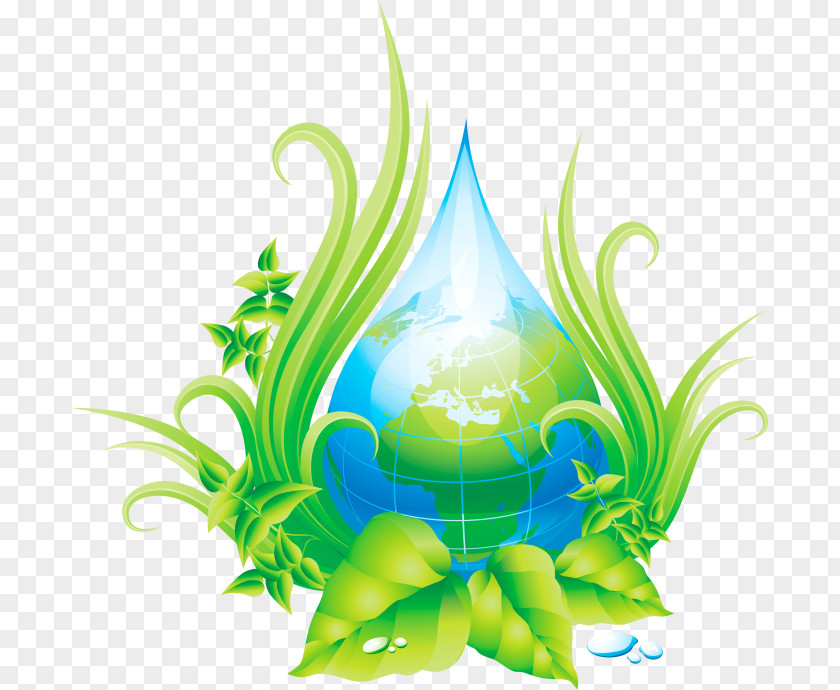 Natural Environment Environmental Protection Ecology PNG