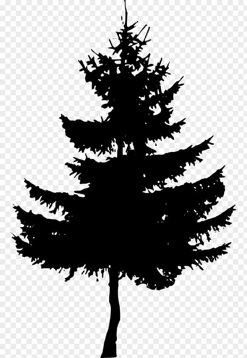 Pine Tree Watercolor Clip Art Transparency Silhouette Image PNG