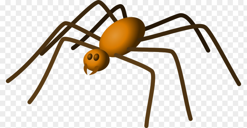 Spider Brown Recluse Clip Art PNG