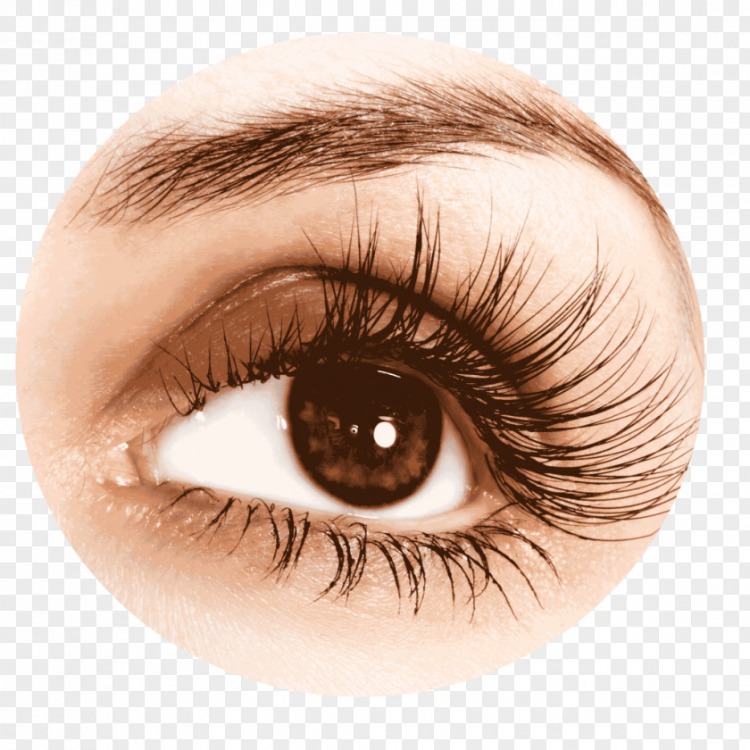 Lashes Eyelash Extensions Hair Permanents & Straighteners Cosmetics Bimatoprost PNG