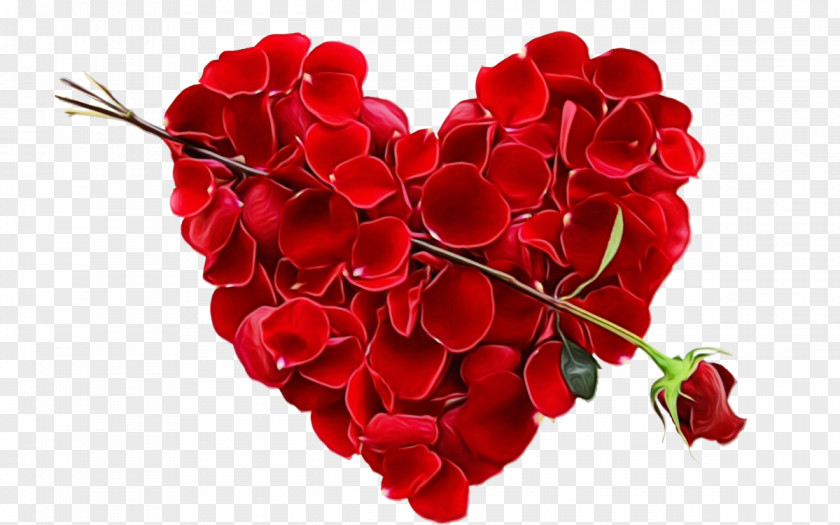 Perennial Plant Geranium Happy Valentine Day PNG