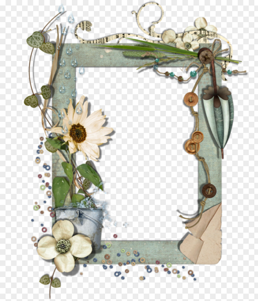 Boulon Floral Design Picture Frames PNG